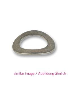 Spring Washer 113-080-0014