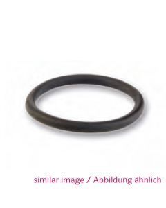 O-Ring 900-841-0077